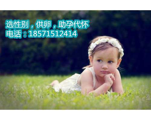 北京供卵助孕中心:实现家庭完整